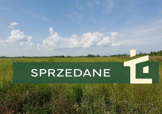działka na sprzedaż - Lesznowola, Władysławów, Zielona